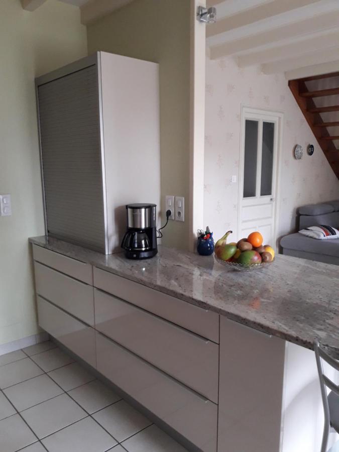 Le Logis De Lange Apt Les Aigrettes Saint-Hilaire-la-Palud Bagian luar foto