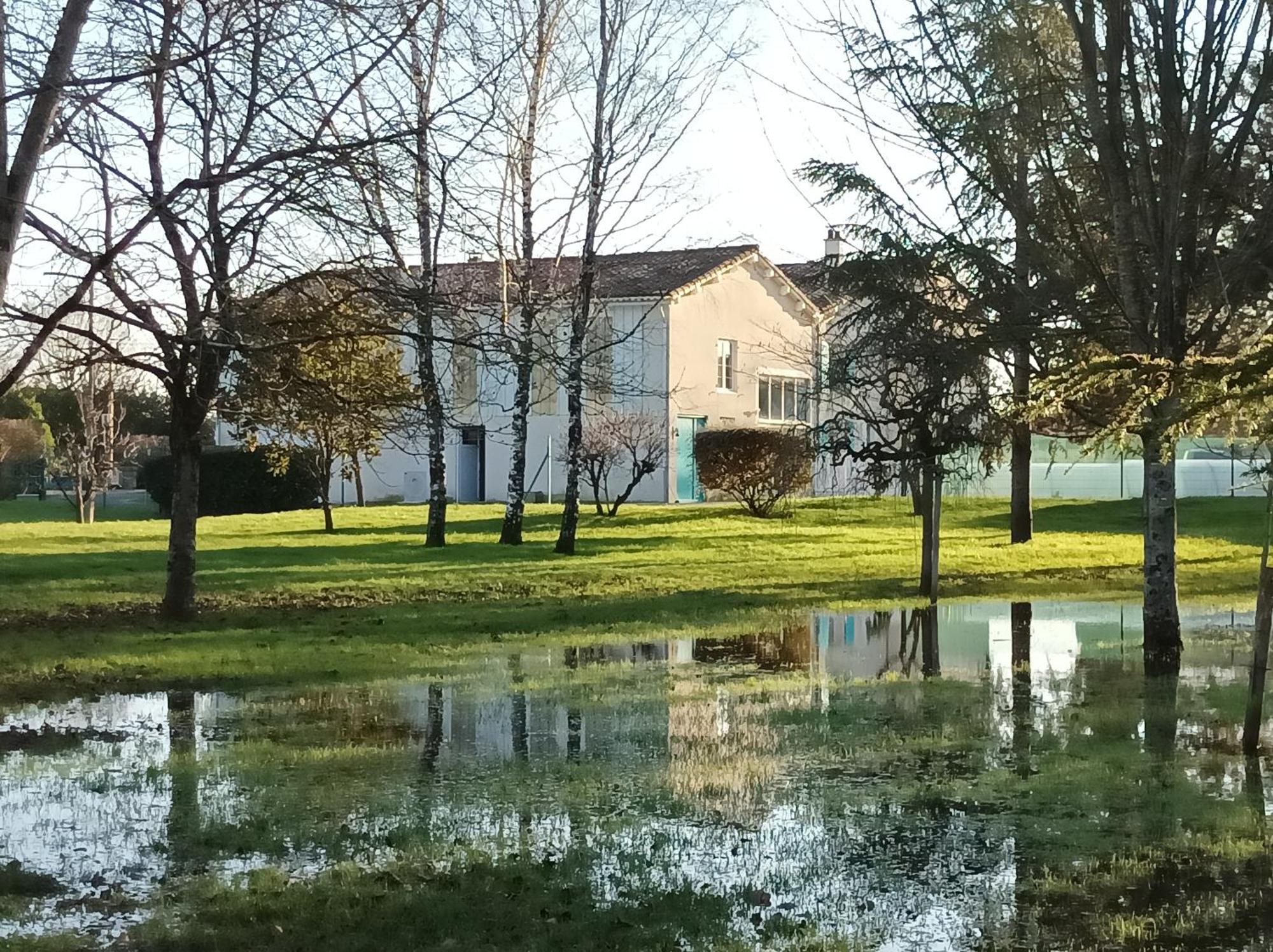 Le Logis De Lange Apt Les Aigrettes Saint-Hilaire-la-Palud Bagian luar foto