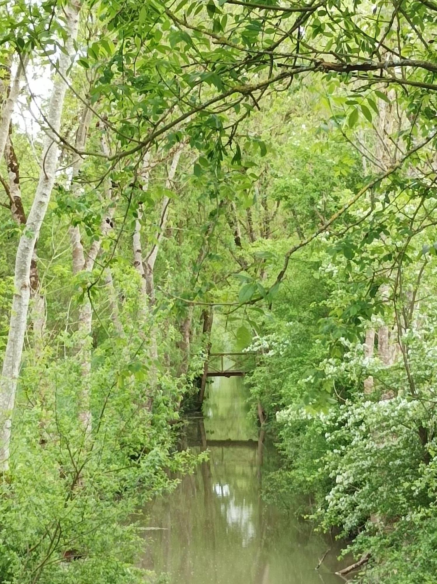 Le Logis De Lange Apt Les Aigrettes Saint-Hilaire-la-Palud Bagian luar foto