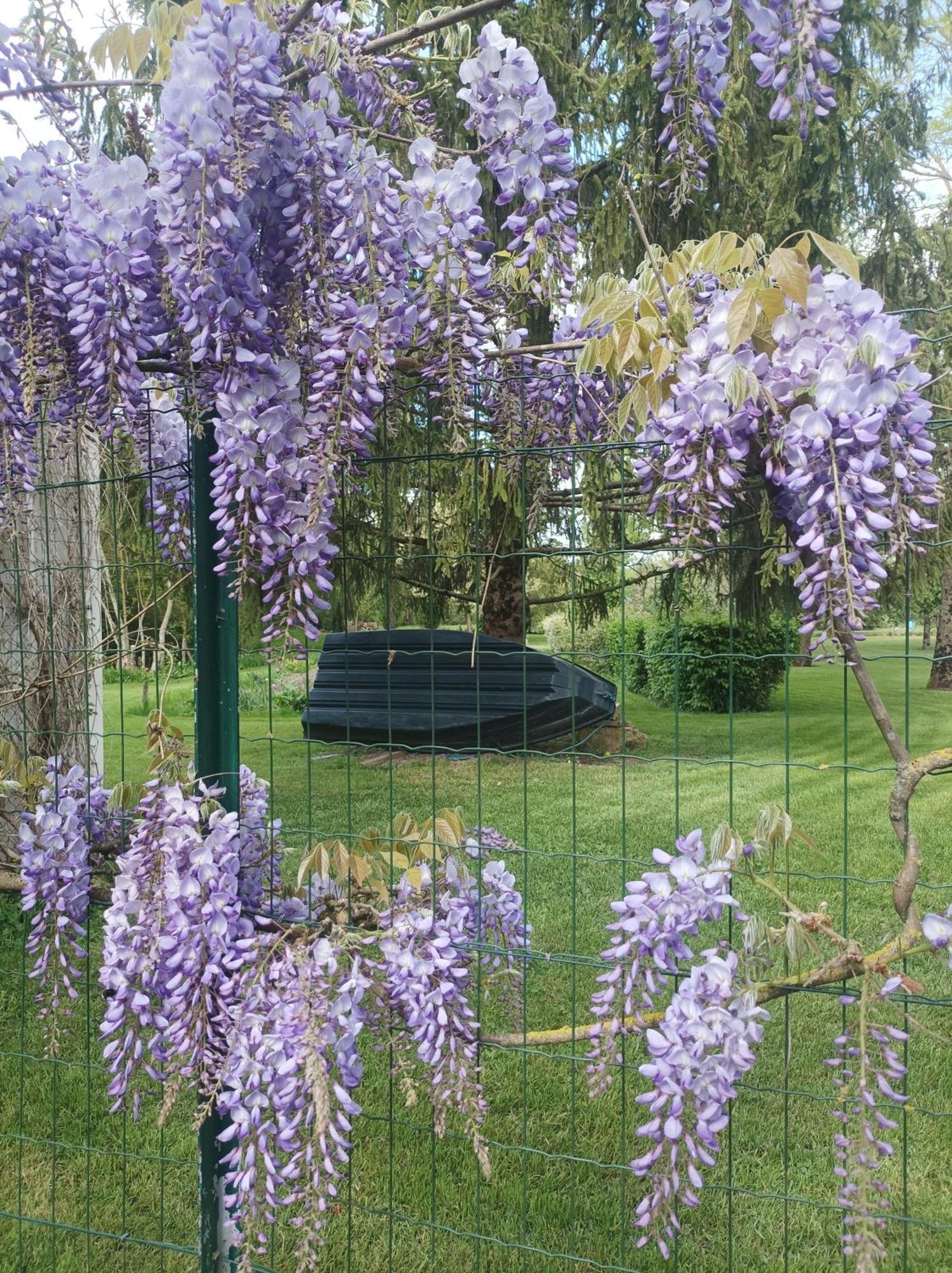 Le Logis De Lange Apt Les Aigrettes Saint-Hilaire-la-Palud Bagian luar foto